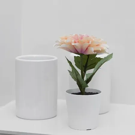 Panska By Renters Warszawa